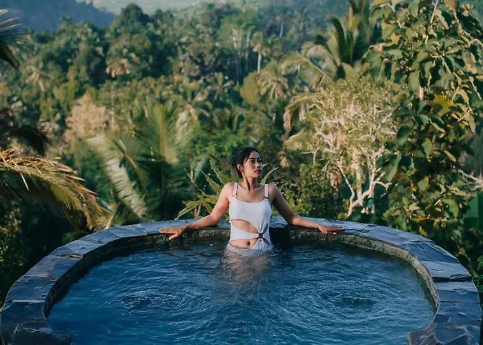 Laputa Bali * サイドメン